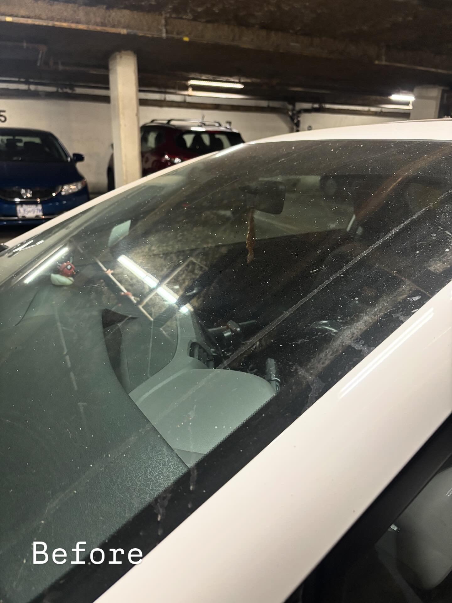 Vehicle detailing finish