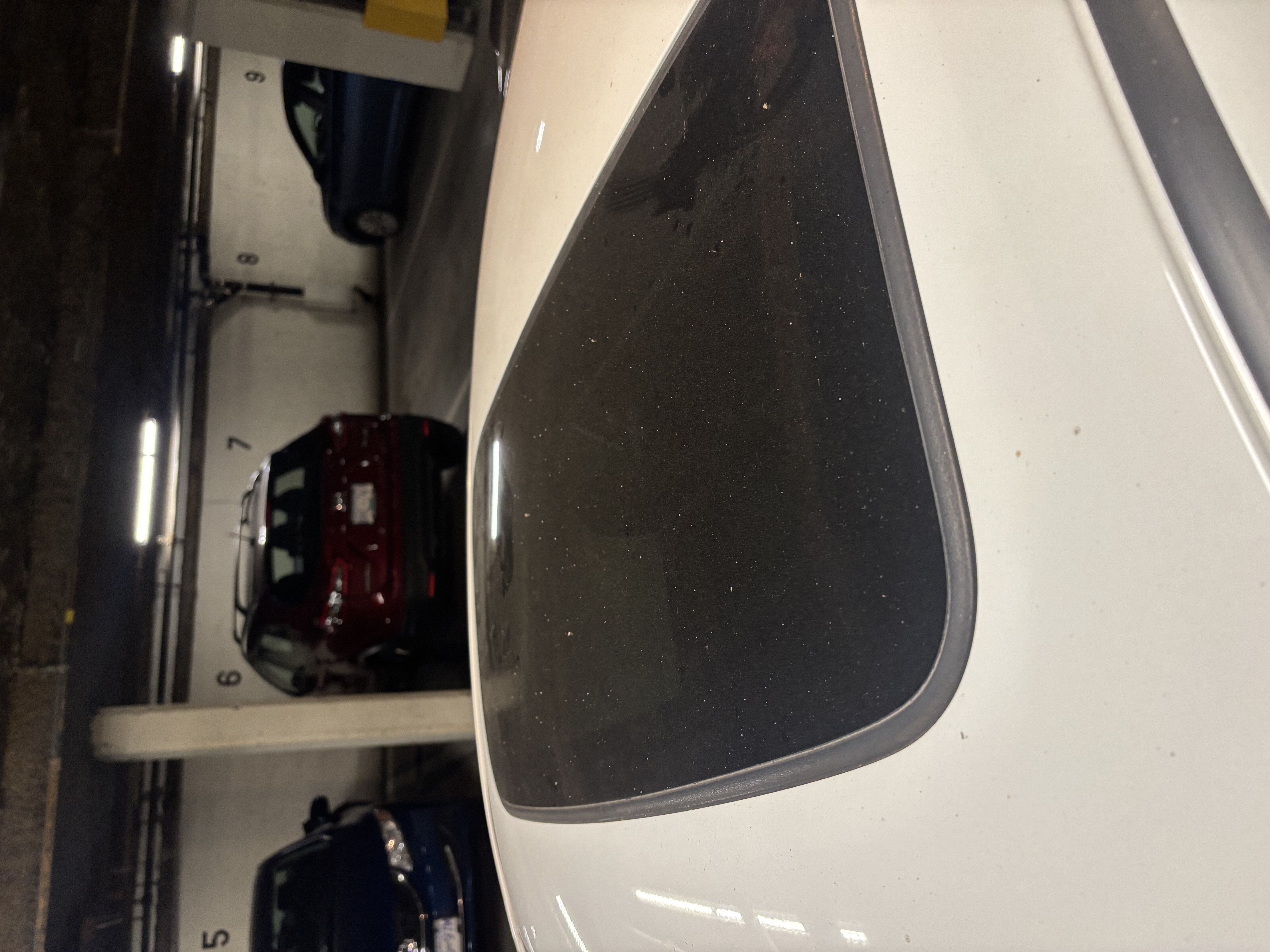 Mobile car detailing by Curbside Customs
